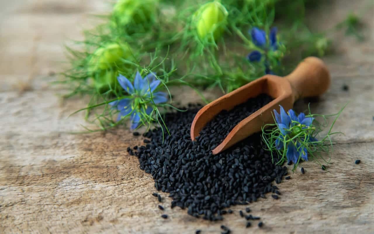 Kalonji Seeds — Benefits, Nutrition, Side effects, & Recipes